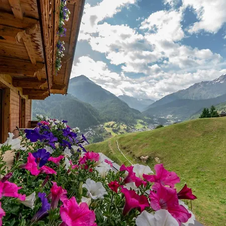 Appartement Belmonte