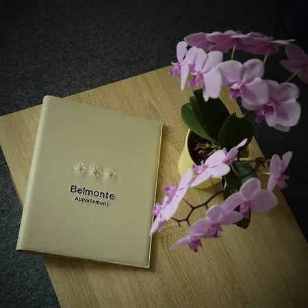 Apartment Belmonte *