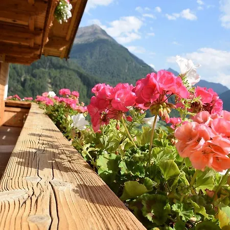 Appartamento Belmonte