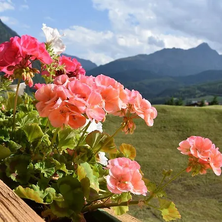 Belmonte Appartement *